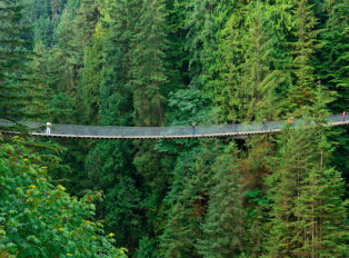 Experience Capilano Suspension Bridge Park