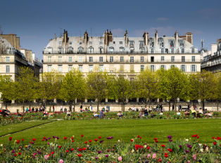 Jardin des Tuileries