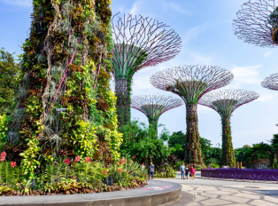 Gardens by the Bay