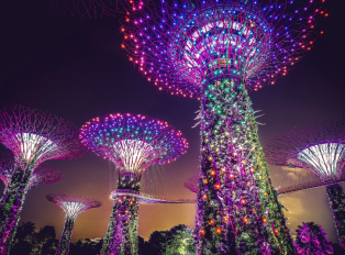 Gardens by the Bay Light Show: A Spectacular Evening