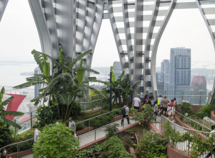 Sky CapitaSpring: Urban Oasis in the Sky