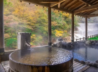 day trips from Tokyo to Hakone