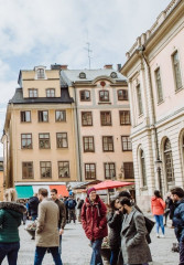 Stockholm Layover Tours