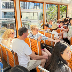 Sunny Tram Adventure
