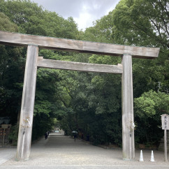 Arch of Calm: Enter the Embrace of Ancient Trees
