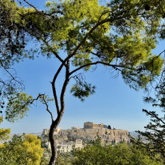 Whispers of Ancient Majesty