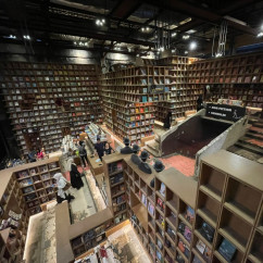 Lost in a Labyrinth of Books