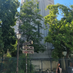 Towering Elegance Under a Blue Sky