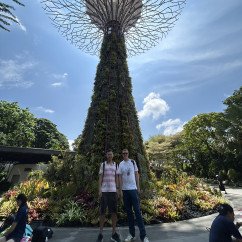 A Stroll Beneath Nature’s Marvel