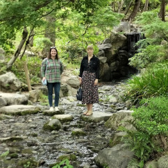 Harmony in the Cascade's Gentle Murmur