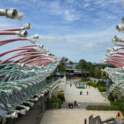 Enchanted Pathway to the Sea