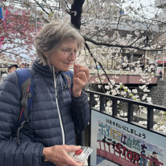 Under the Cherry Blossoms: A Taste of Tranquility