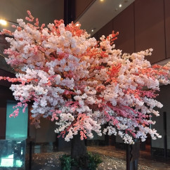 Blossoms of Serenity: A Spring Arrival