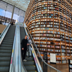 Ascending in the Book Haven: A Journey Between the Pages