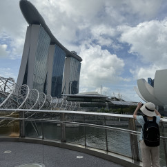 Daydreams by the Bay