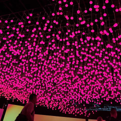 Where Light Becomes Art: An Illuminated Haven