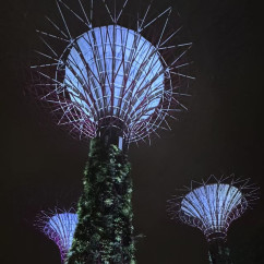 Enchanted Giants Under the Night Sky