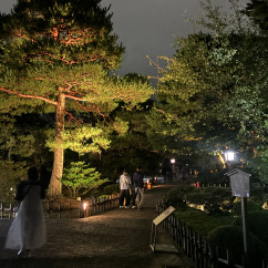 Enchanted Evening Stroll