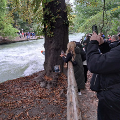 Riding the Urban Wave: Nature Meets Adventure