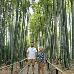 Serenity Amongst Towering Bamboo