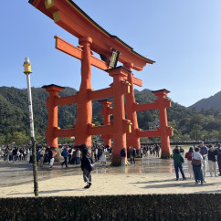 People gathered around the large red Torii gate at Itsukushima Shrine, Japan.