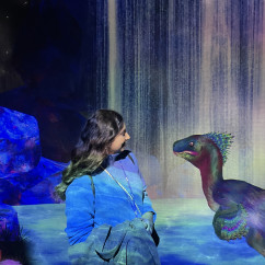 Woman looking at digital dinosaur in an interactive exhibit.