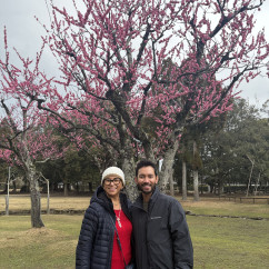 Caught in the beauty of Nara's early spring blooms.
