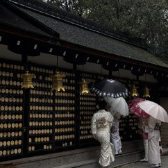 A quiet moment at Kyoto's temple under the rain.