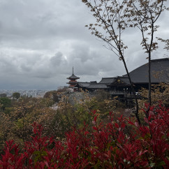 A moody sky frames Kyoto's serene temple view perfectly.