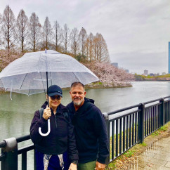 A couple enjoys cherry blossoms under a shared umbrella in Osaka.