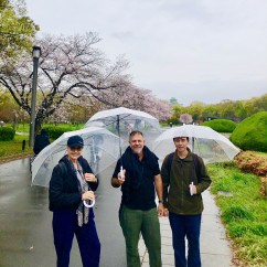 A group enjoying a rainy stroll through Osaka’s cherry blossoms.