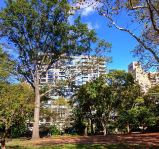 Carl Schurz Park - Upper East Side