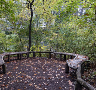 Hallett Nature Sanctuary - Central Park 