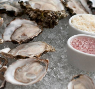 Oysters 