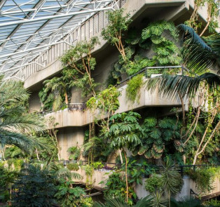 The Barbican Conservatory