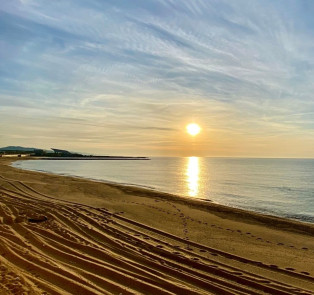 Watch a Sunrise from the Beach