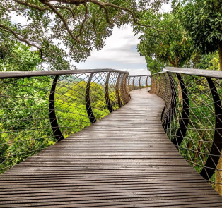 Kirstenbosch Gardens