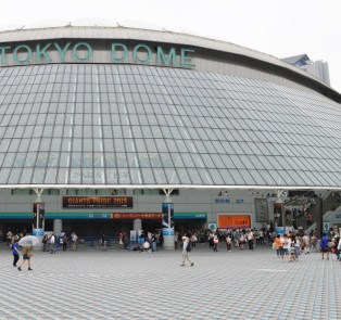 Attend a Japanese baseball game at the Tokyo Dome