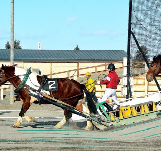 Witness the Hokkaido Banei Horse Racing