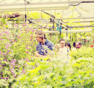 Go On A Gin Garden Tour