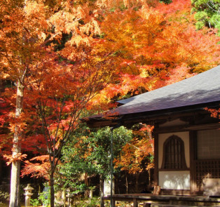 Kyoto Takao