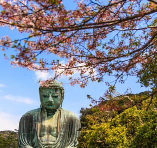 Great Buddha and amazing views