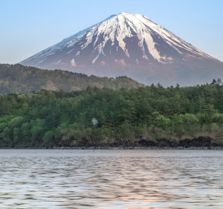 Fuji san 