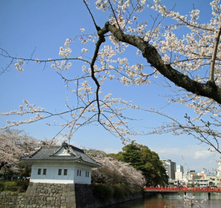 Nearby Hakone 