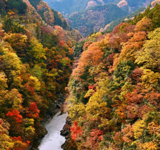 Chichibu Saitama prefecture with autumn colors