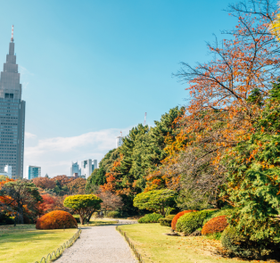 Private Tokyo tours allow you to explore more
