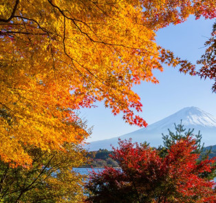 Visit mount fuji and the five lakes