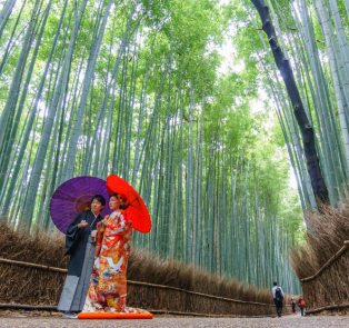 Arashiyama Bamboo Grove, Kyoto, Japan