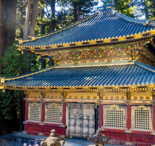 Embark on a spiritual exploration at the Toshogu Shrine