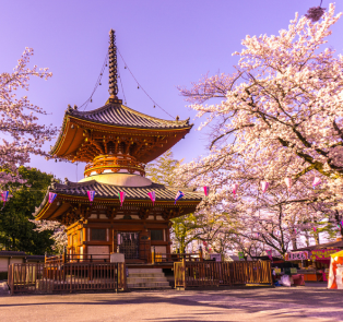 Kitain Temple with cherry blossom trees